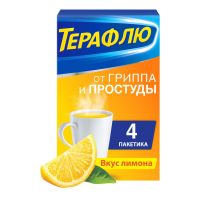 Терафлю 22.1г порошок для приготовления раствора д/пр.внутр. №4 пакетики лимон (DELPHARM ORLEANS)